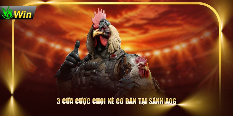 Sảnh Đá Gà AOG V8WIN Phát Trực Tiếp Chọi Kê Full HD 4 Sảnh Đá Gà AOG V8WIN Phát Trực Tiếp Chọi Kê Full HD 3 cửa cược chọi kê cơ bản tại sảnh AOG