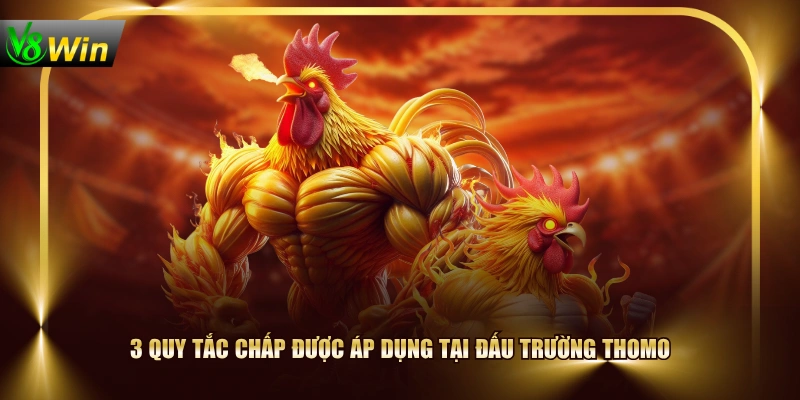 Luật Đá Gà Thomo Mới Nhất Được Áp Dụng Trong Năm 2026 3 Luật Đá Gà Thomo Mới Nhất Được Áp Dụng Trong Năm 2026 3 quy tắc chấp được áp dụng tại đấu trường Thomo