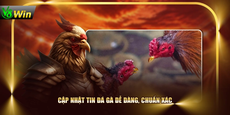 Sảnh Đá Gà AOG V8WIN Phát Trực Tiếp Chọi Kê Full HD 3 Sảnh Đá Gà AOG V8WIN Phát Trực Tiếp Chọi Kê Full HD Cập nhật tin đá gà dễ dàng, chuẩn xác