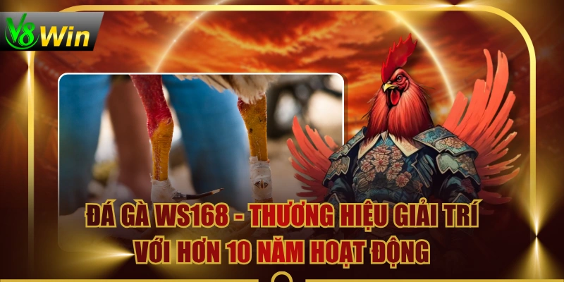 Đá Gà WS168 - Thương Hiệu Giải Trí Với Hơn 10 Năm Hoạt Động 3 Đá Gà WS168 - Thương Hiệu Giải Trí Với Hơn 10 Năm Hoạt Động Đá Gà WS168 - Thương Hiệu Giải Trí Với Hơn 10 Năm Hoạt Động
